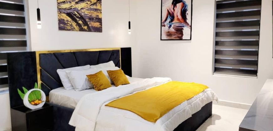 2 Bedroom Apartment in Ikoyi